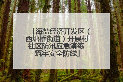 海盐经济开发区（西塘桥街道）开展村社区防汛应急演练 筑牢安全防线
